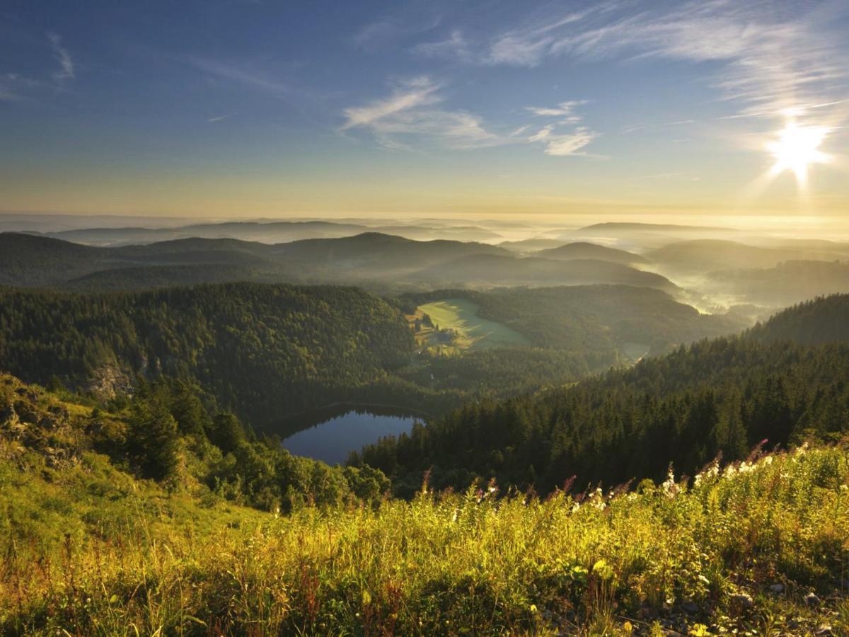 Black Forest Luxury Apartment Waldglueck Mit Sauna Königsfeld im Schwarzwald Eksteriør bilde
