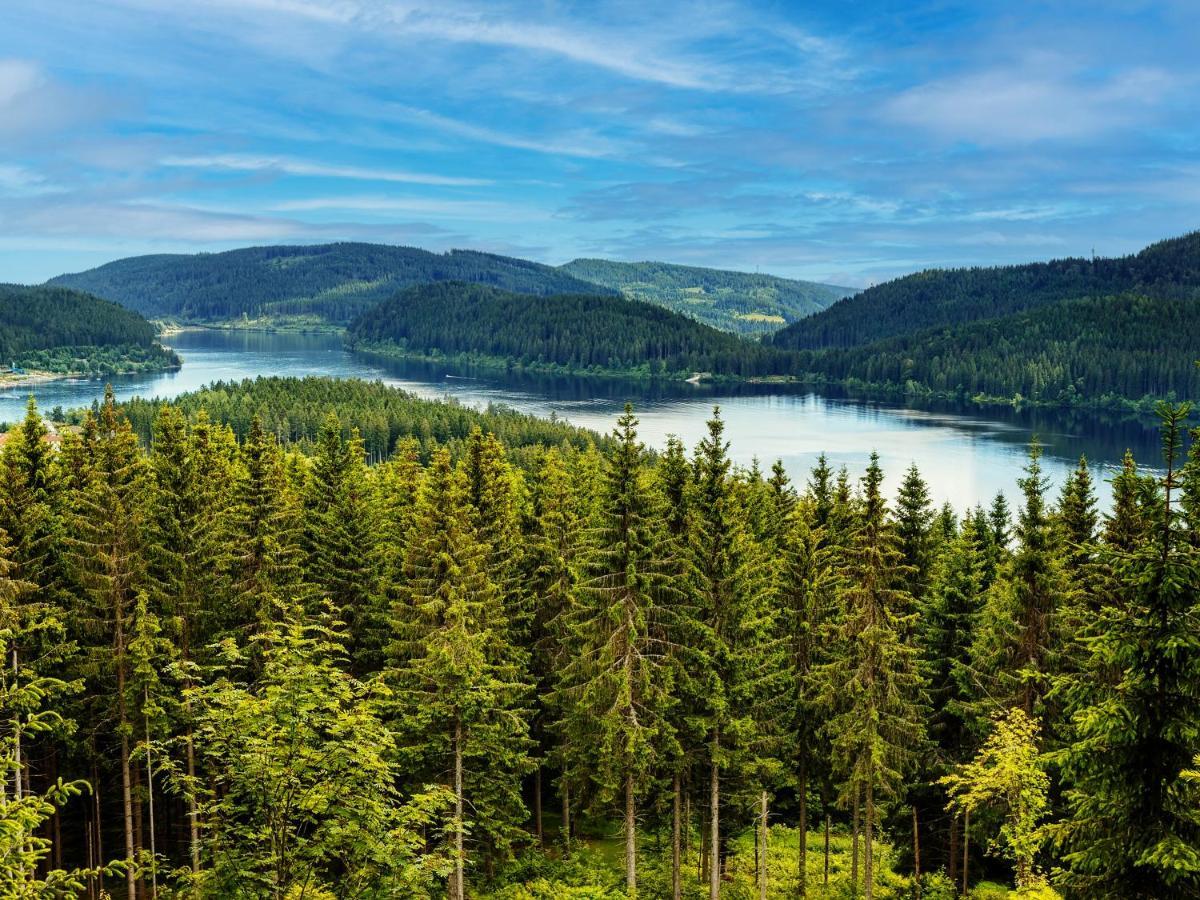 Black Forest Luxury Apartment Waldglueck Mit Sauna Königsfeld im Schwarzwald Eksteriør bilde