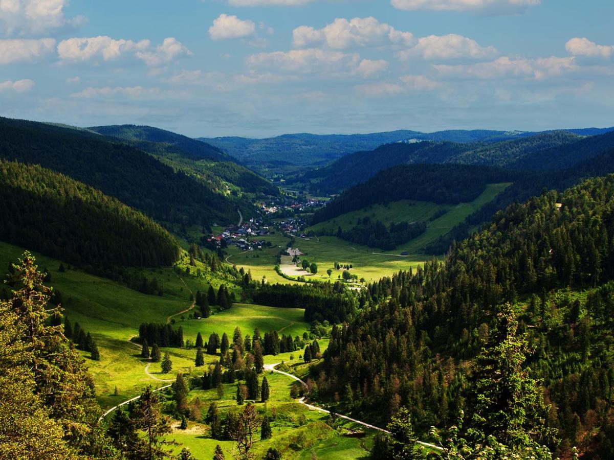 Black Forest Luxury Apartment Waldglueck Mit Sauna Königsfeld im Schwarzwald Eksteriør bilde