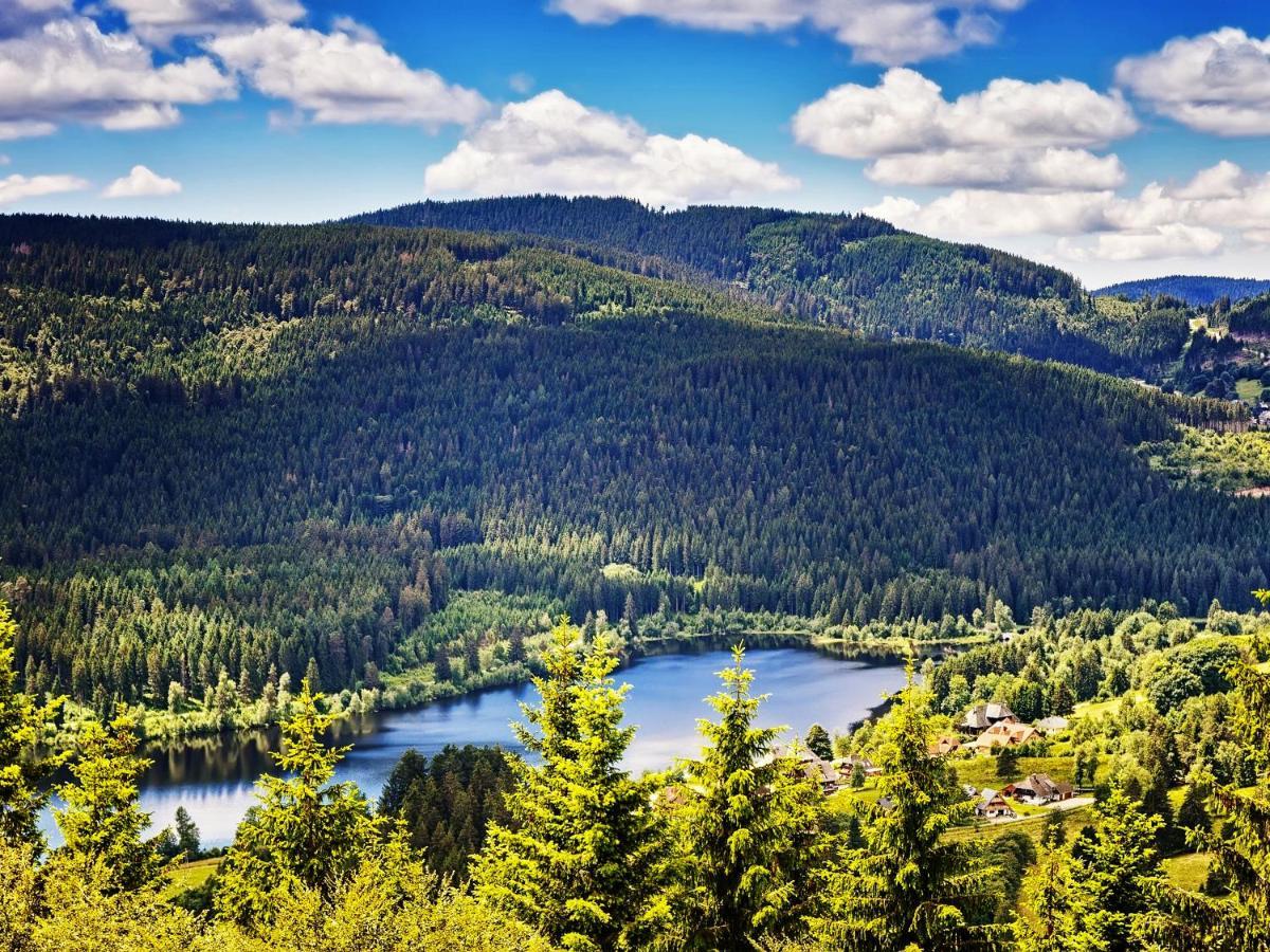Black Forest Luxury Apartment Waldglueck Mit Sauna Königsfeld im Schwarzwald Eksteriør bilde